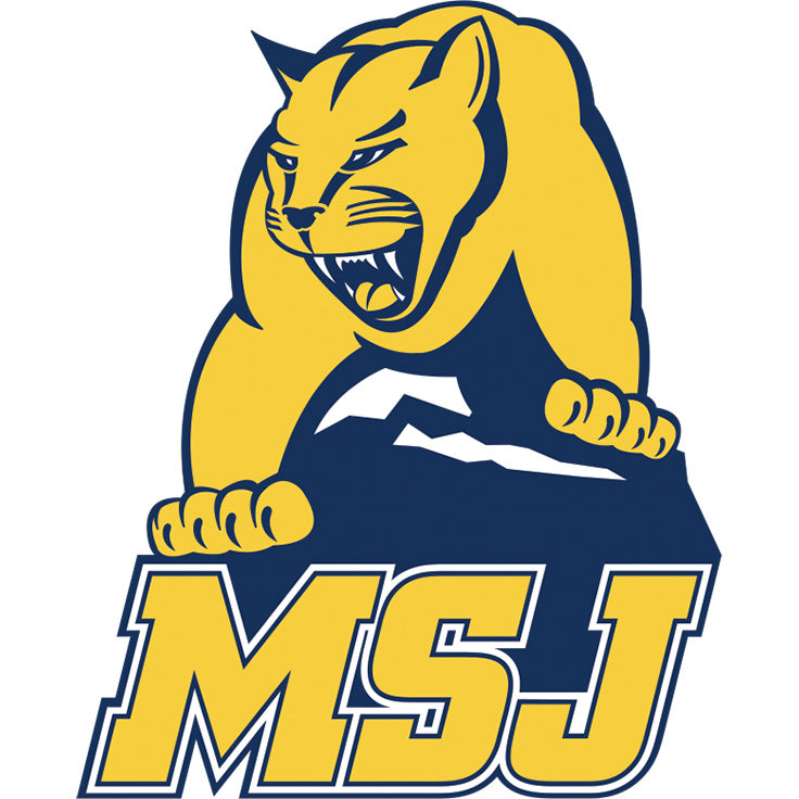 Mount St. Joseph University Lions
