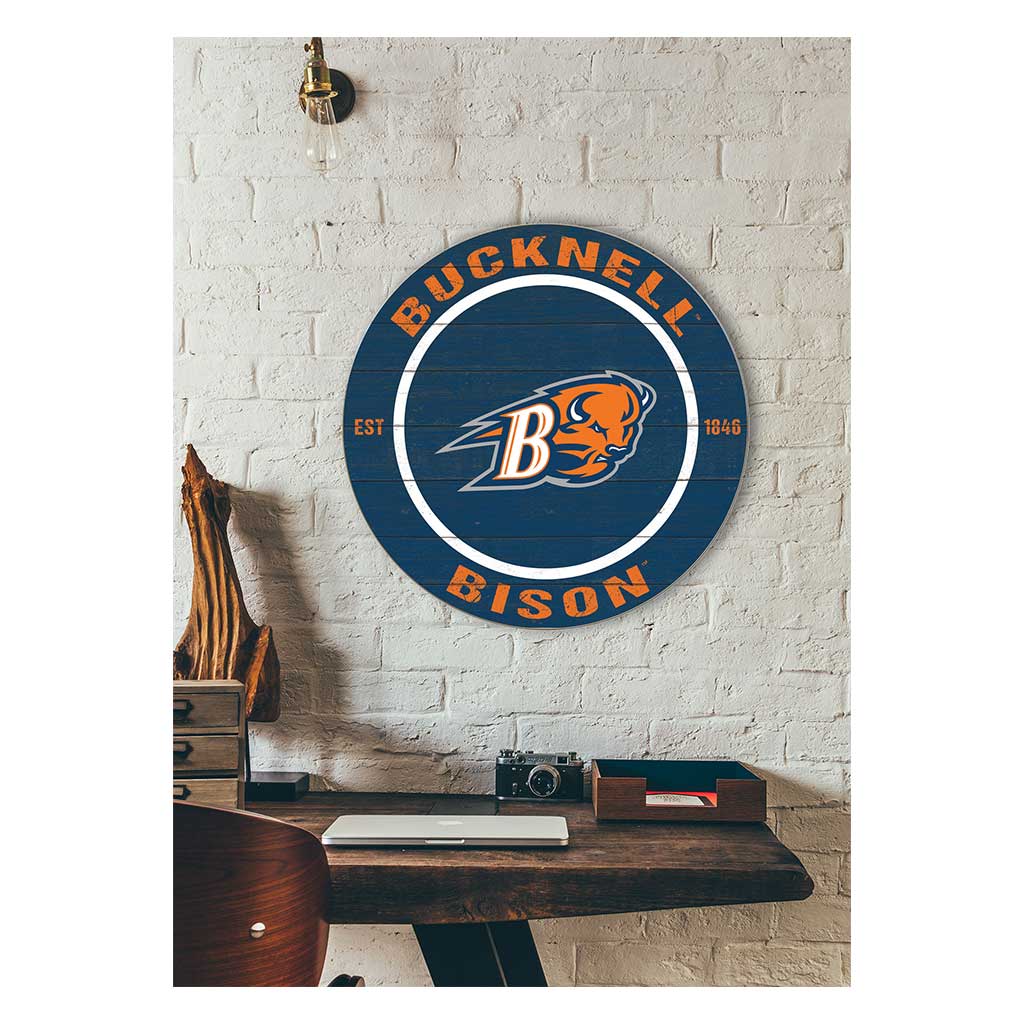 20x20 Weathered Colored Circle Bucknell Bison