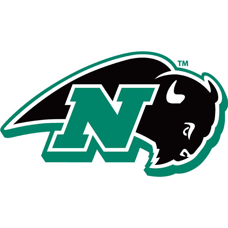 Nichols College Bison