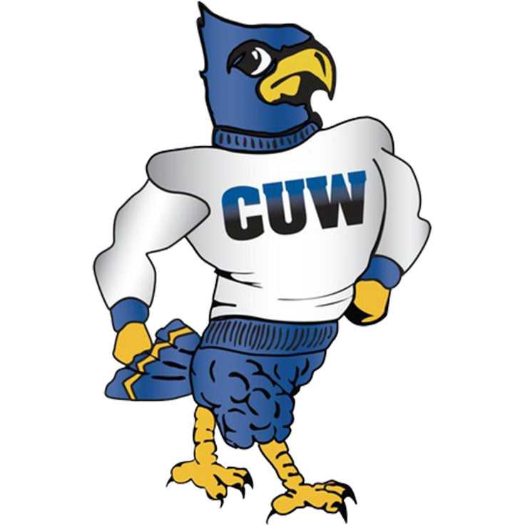 Concordia University (WI) Falcons