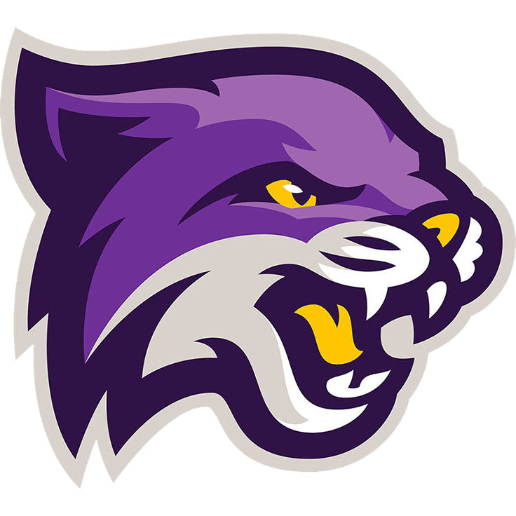 Bethel University Wildcats
