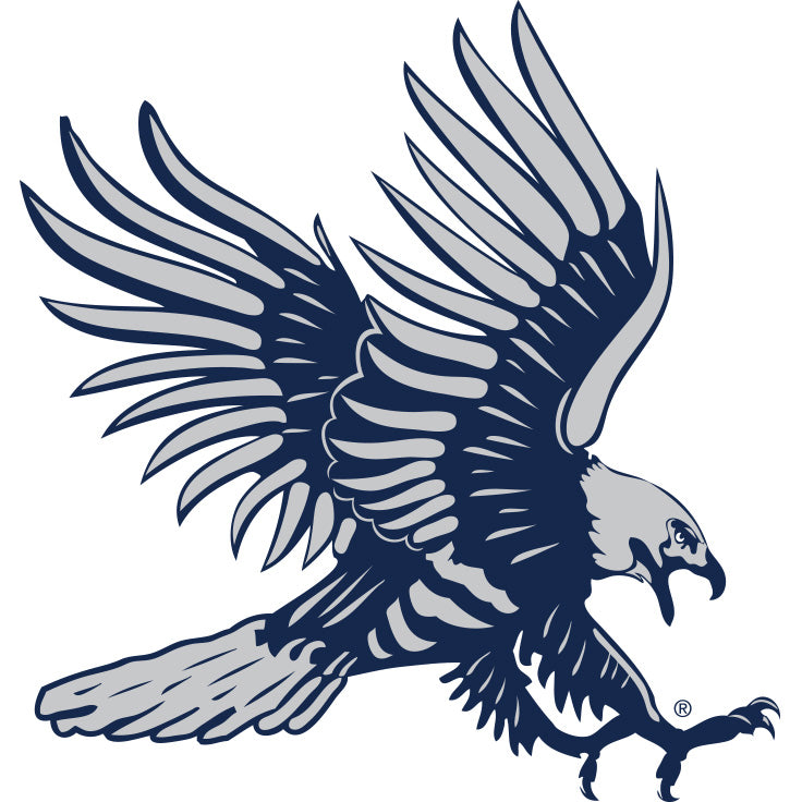 Dickinson State Blue Hawks