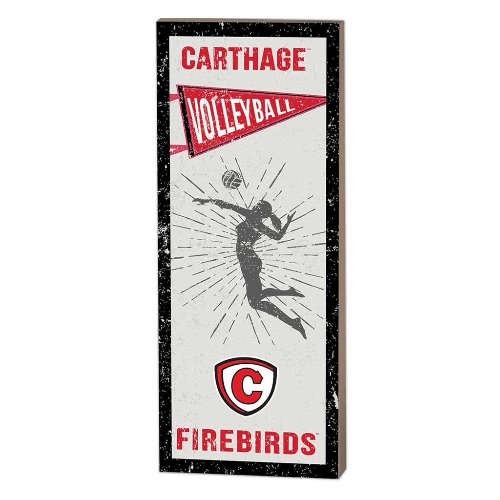 7x18 Vintage Player Carthage College Red Men/Lady Reds - Girl's Volleyball