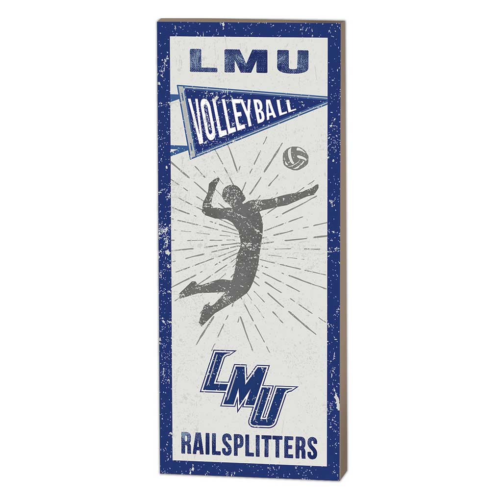 7x18 Vintage Player Lincoln Memorial University Railsplitters - Volleyball