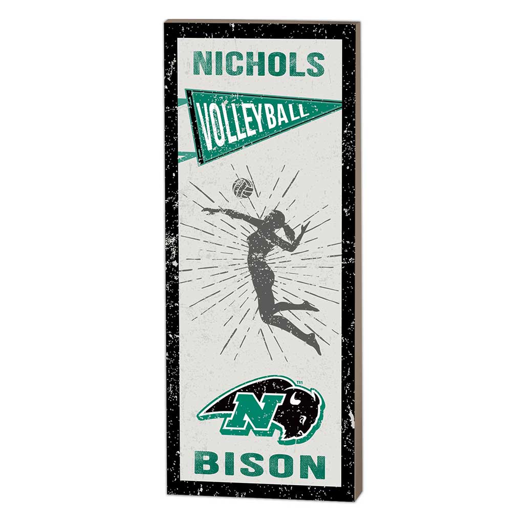 7x18 Vintage Player Nichols College Bison - Girl's Volleyball