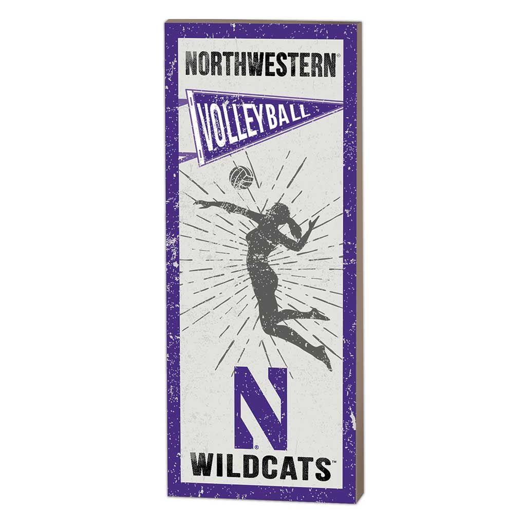 7x18 Vintage Player Northwestern University - Chicago Wildcats Volleyball Women