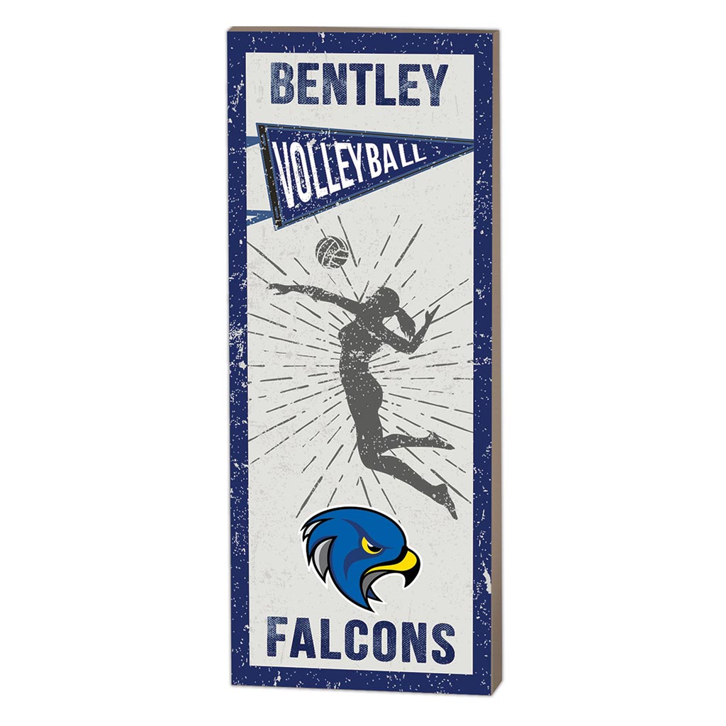 7x18 Vintage Player Bentley College Falcons Volleyball Women
