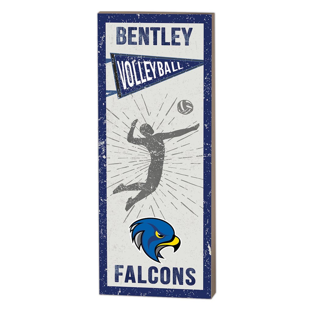 7x18 Vintage Player Bentley College Falcons Volleyball