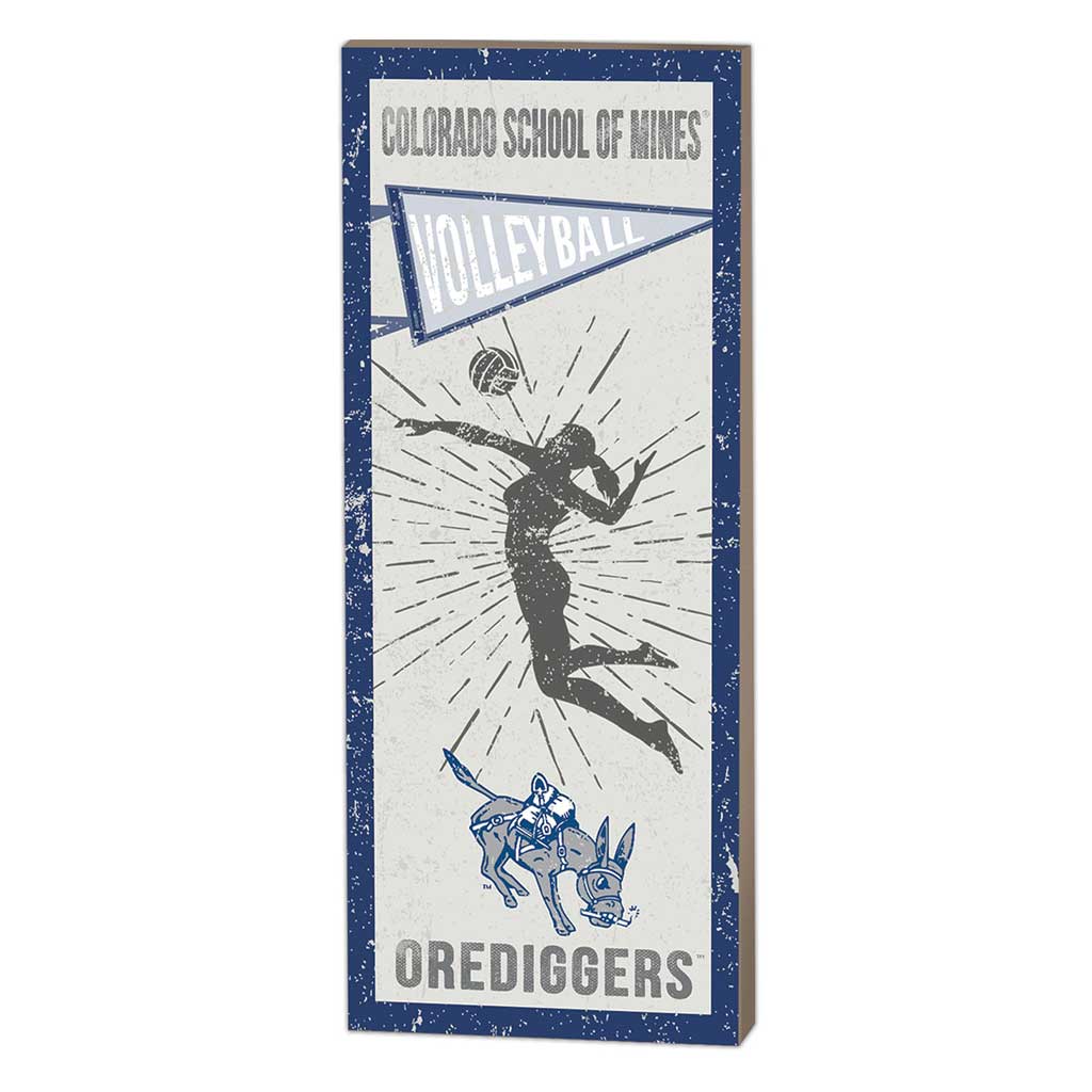 7x18 Vintage Player Colorado School of Mines Orediggers Volleyball Women