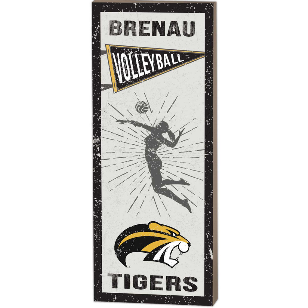 7x18 Vintage Player Brenau University Golden Tigers Girl's Volleyball