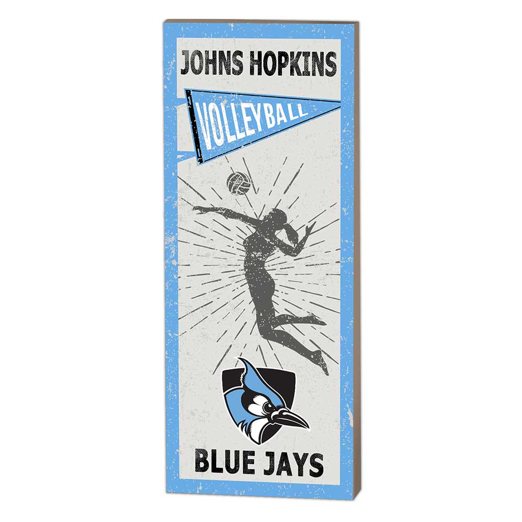 7x18 Vintage Player Johns Hopkins Blue Jays Volleyball Women