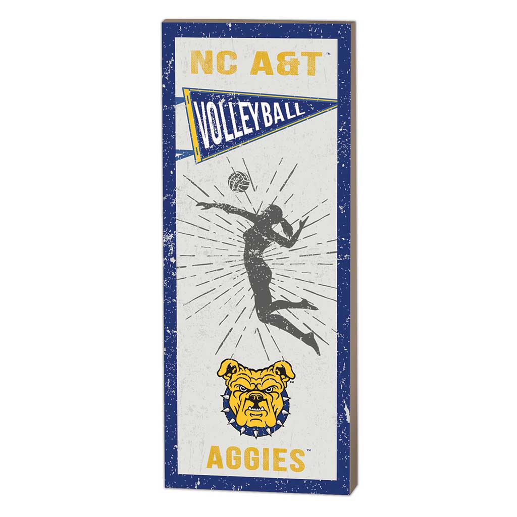 7x18 Vintage Player North Carolina A&T Aggies Volleyball Women