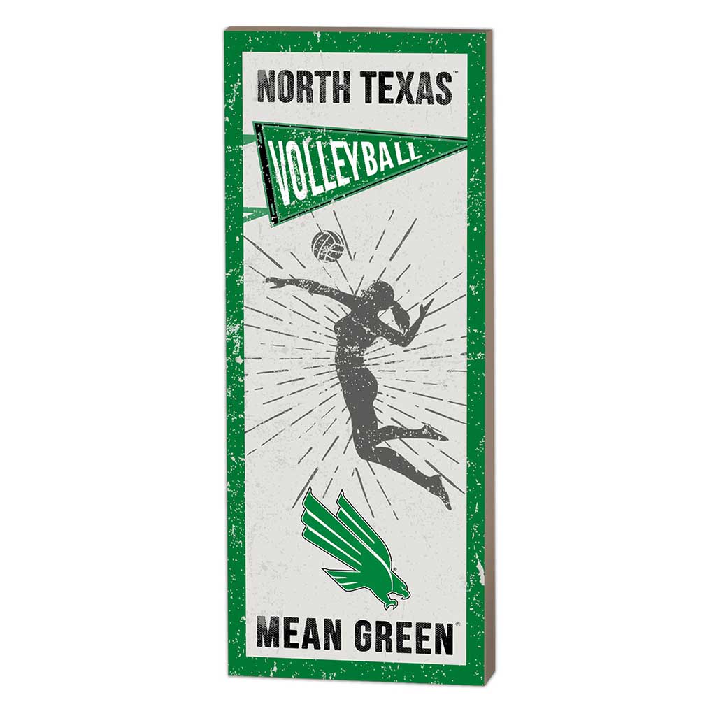 7x18 Vintage Player North Texas Mean Green Volleyball Women