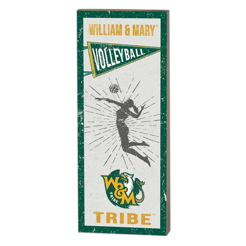 7x18 Vintage Player William and Mary Tribe Volleyball Women