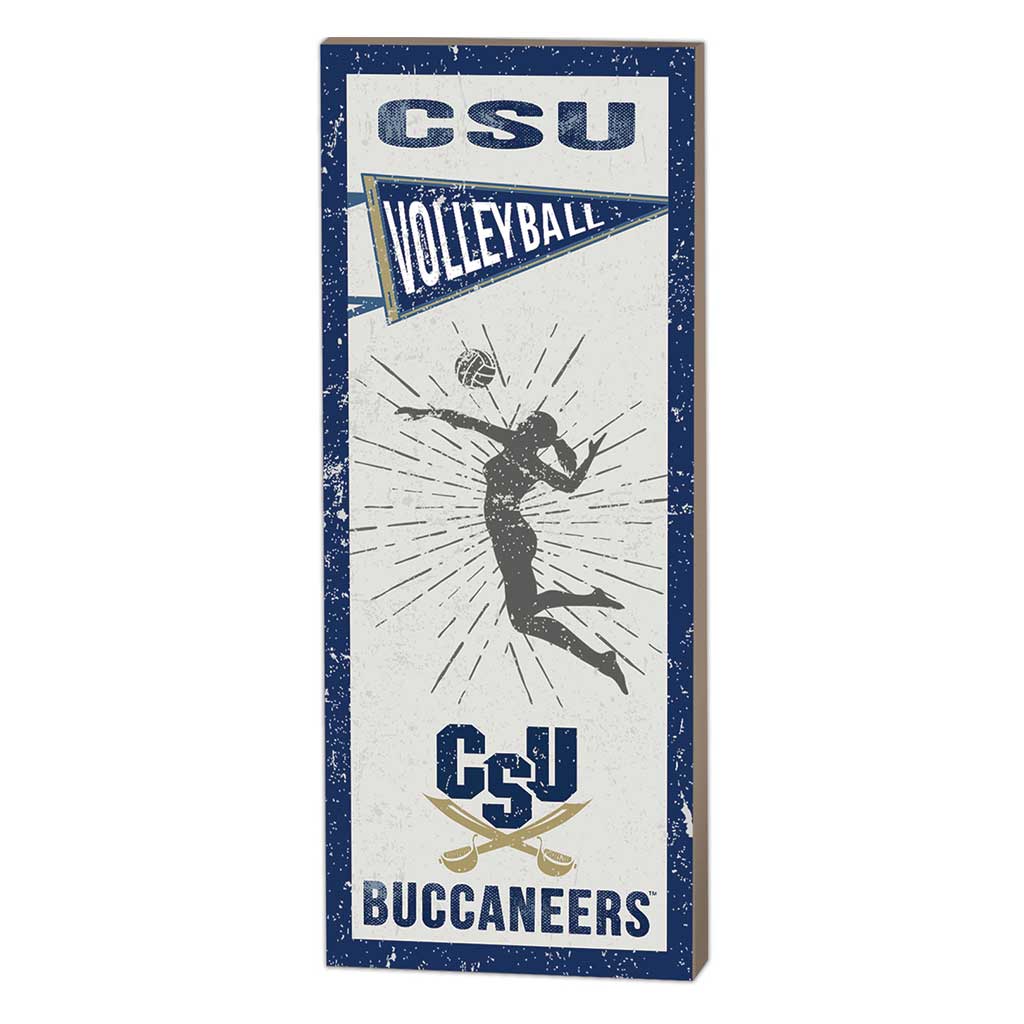 7x18 Vintage Player Charleston Southern Buccaneers Volleyball Women