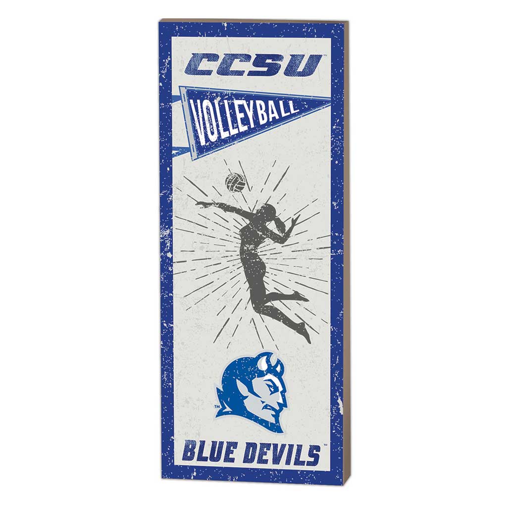 7x18 Vintage Player Central Connecticut State Blue Devils Volleyball Women