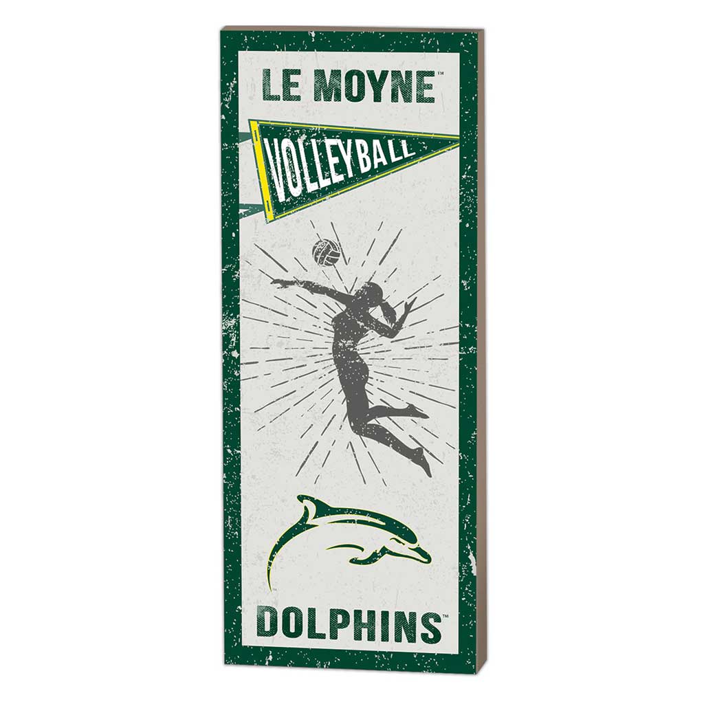 7x18 Vintage Player Le Moyne College DOLPHINS - Girl's Volleyball