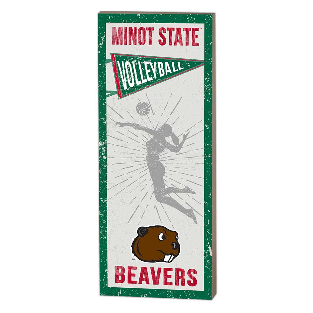 7x18 Vintage Player Minot State Beavers - Girl's Volleyball