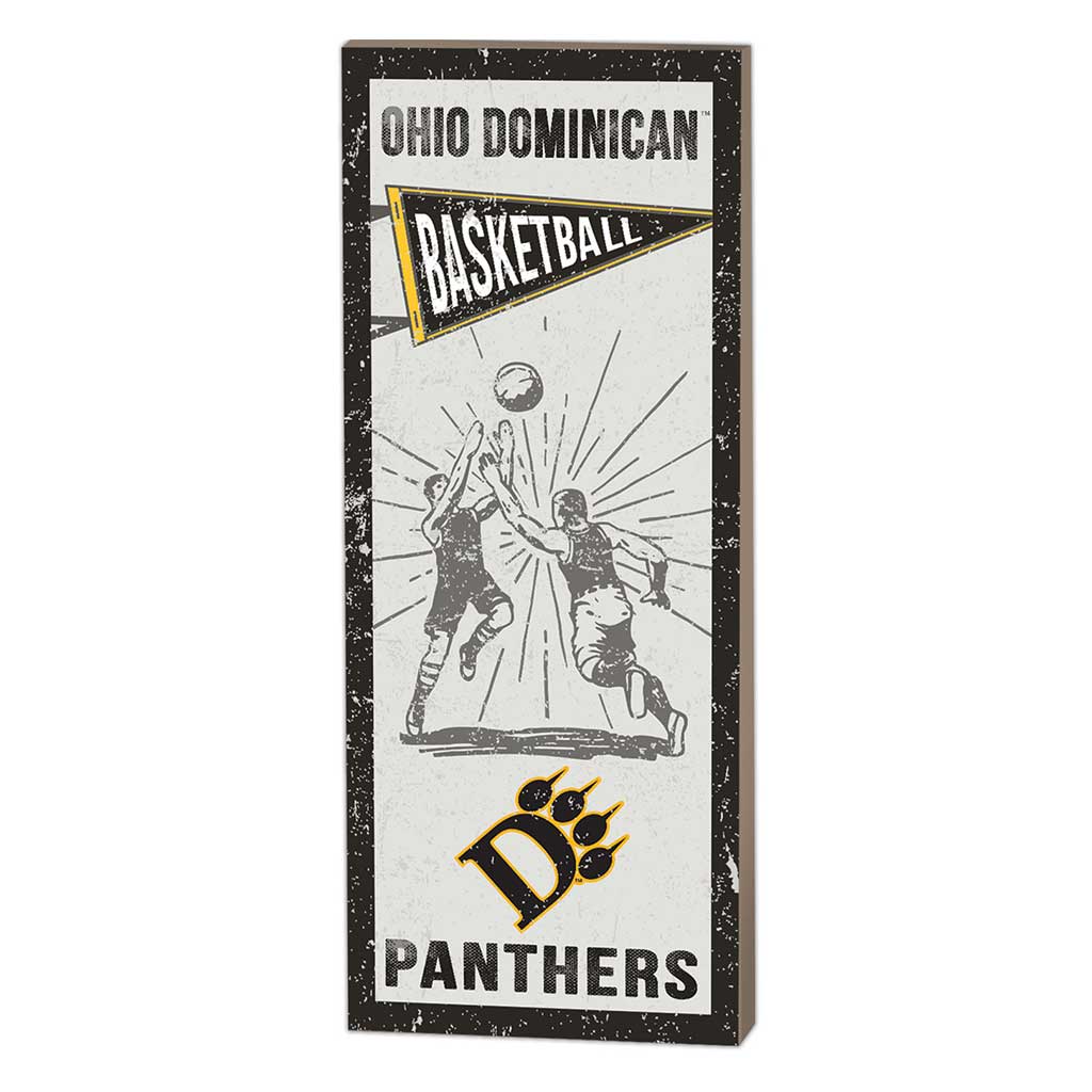7x18 Vintage Player Ohio Dominican University Panthers Basketball