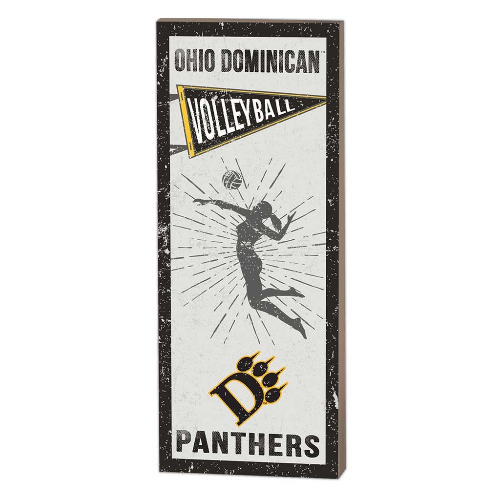 7x18 Vintage Player Ohio Dominican University Panthers - Girl's Volleyball