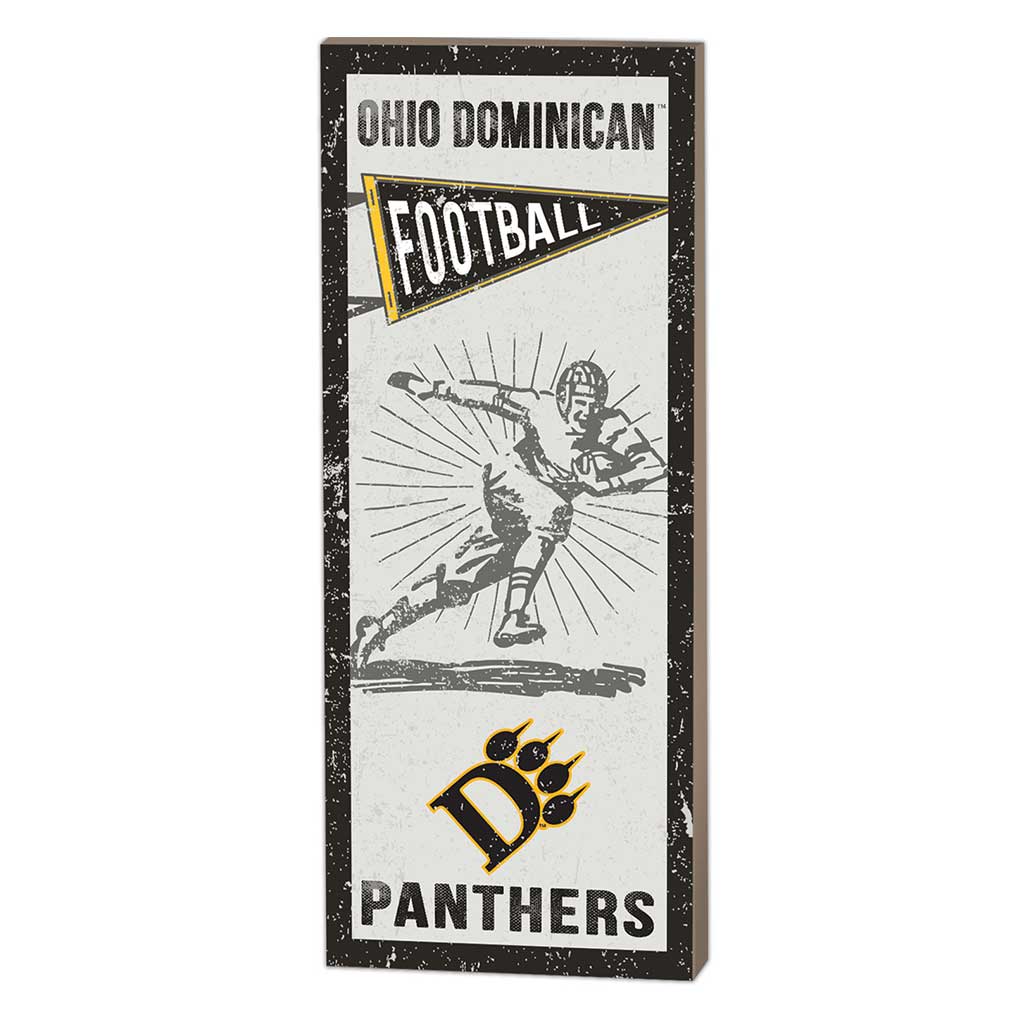 7x18 Vintage Player Ohio Dominican University Panthers