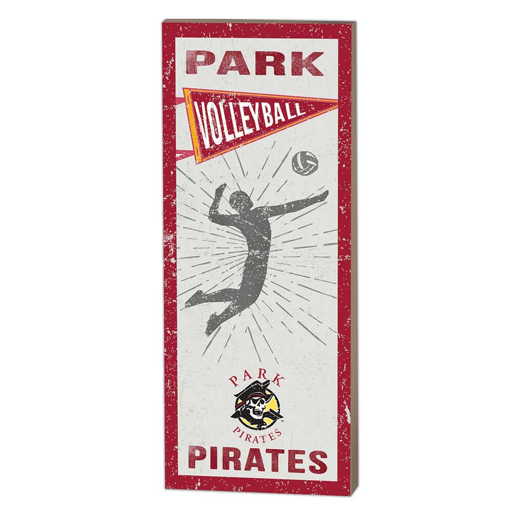 7x18 Vintage Player Park University Pirates - Volleyball