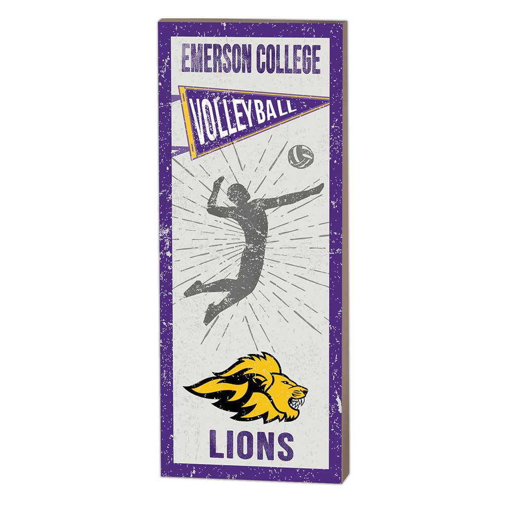 7x18 Vintage Player Emerson College Lions - Volleyball