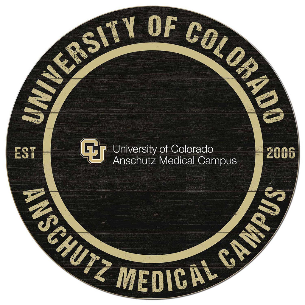 20x20 Weathered Colored Circle University of Colorado - Anschutz Buffalo