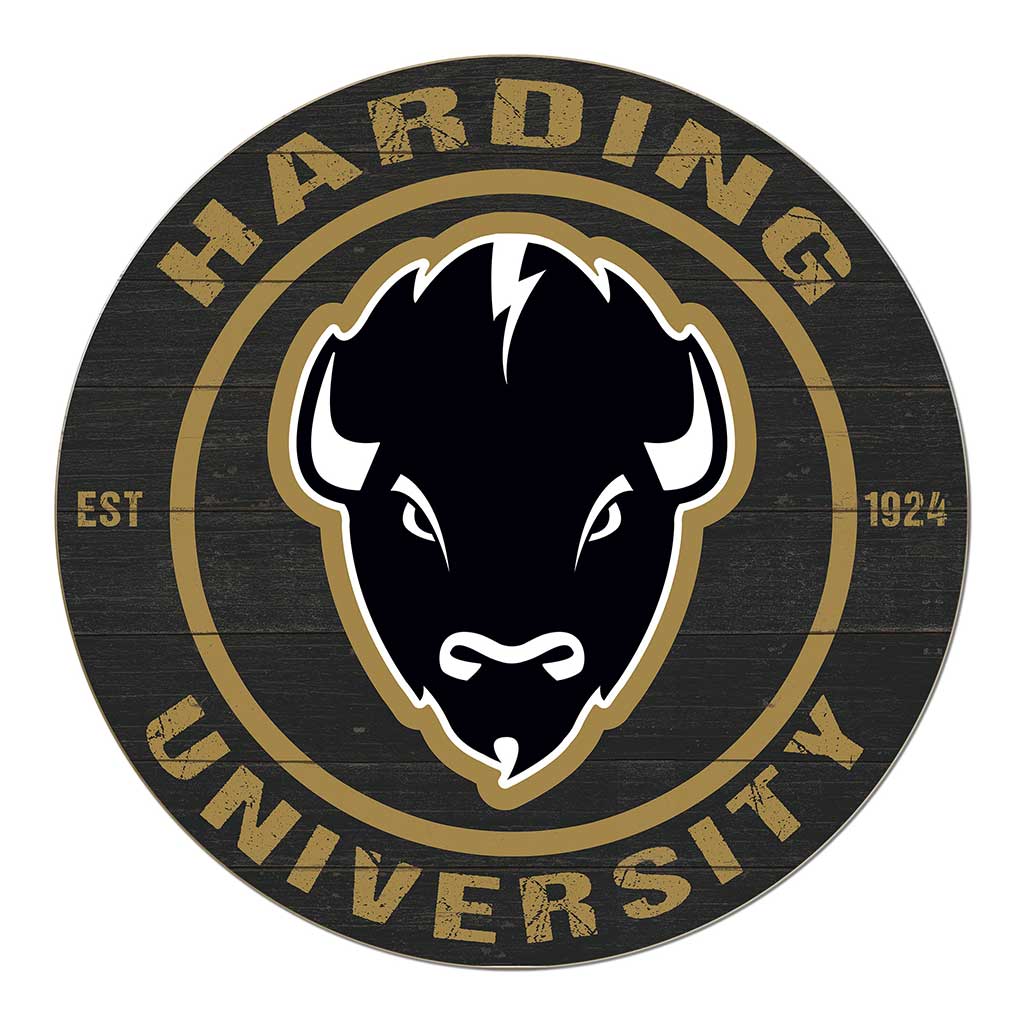 20x20 Weathered Colored Circle Harding University