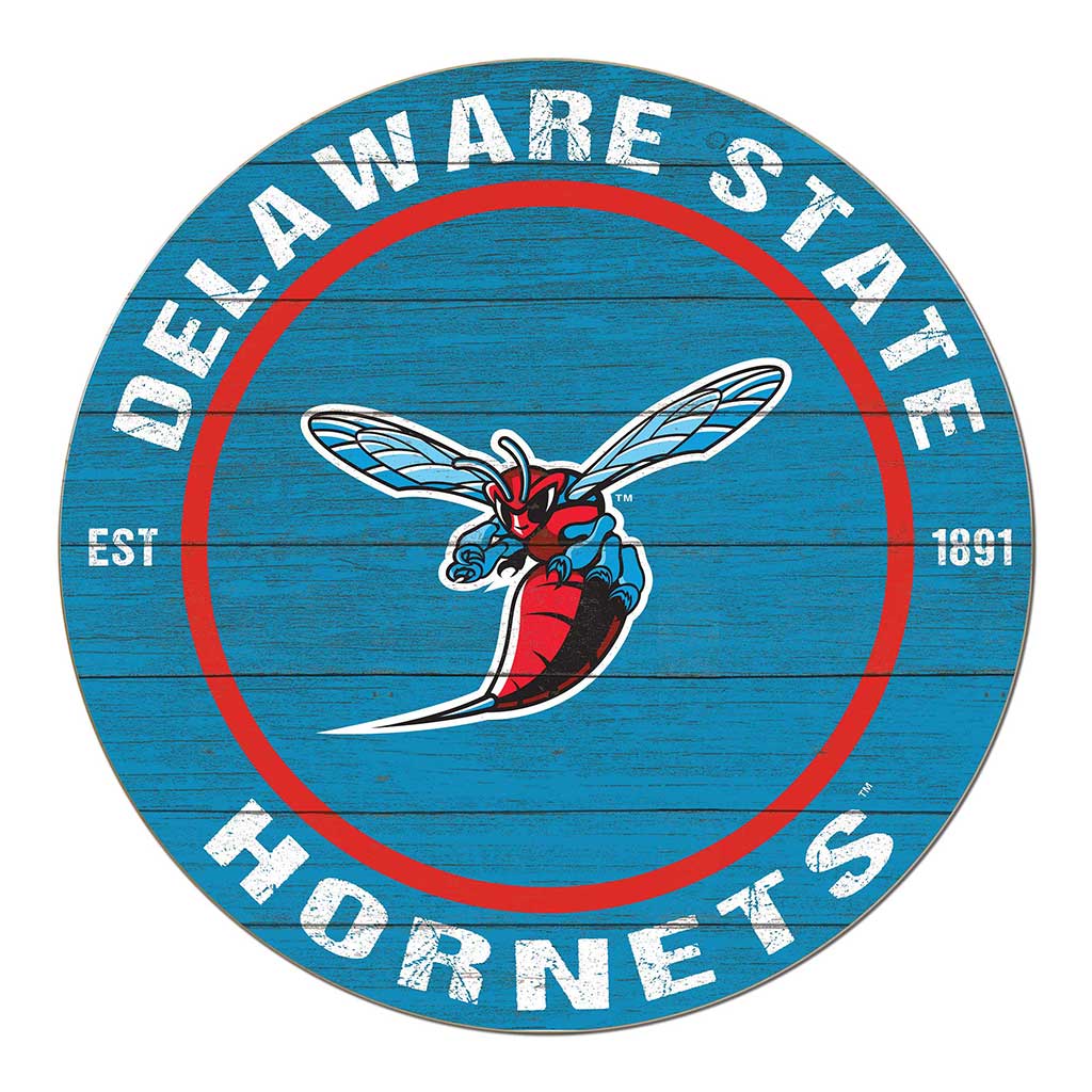 20x20 Weathered Colored Circle Delaware State Hornets