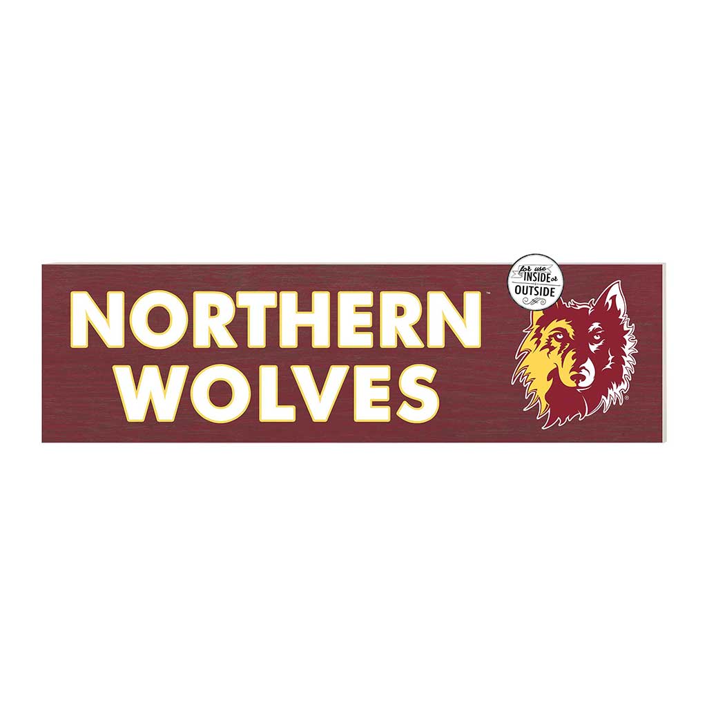 35x10 Indoor Outdoor Sign Colored Logo Northern State University