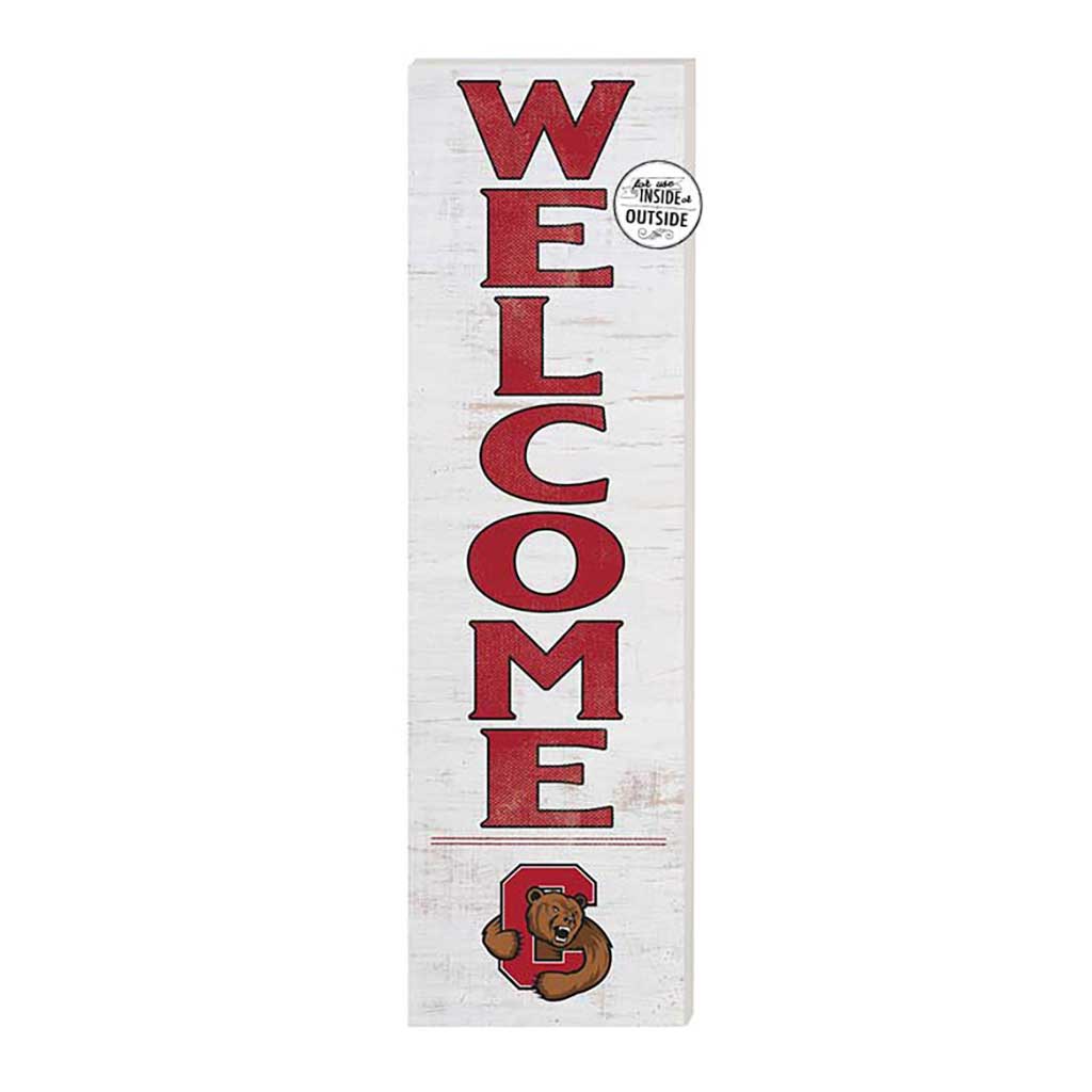 Cornell Big Red 18'' x 34'' Team Logo Doormat