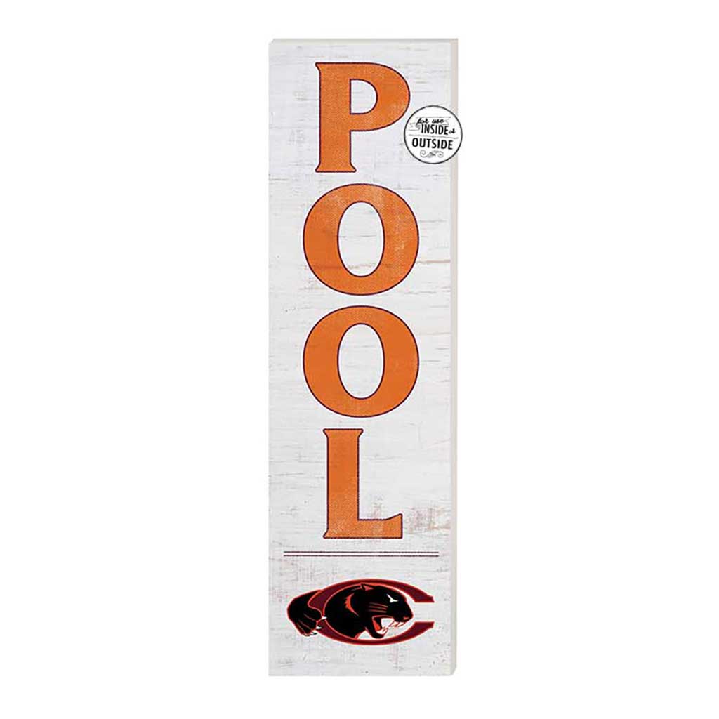 10x35 Indoor Outdoor Sign Pool Claflin University Panthers