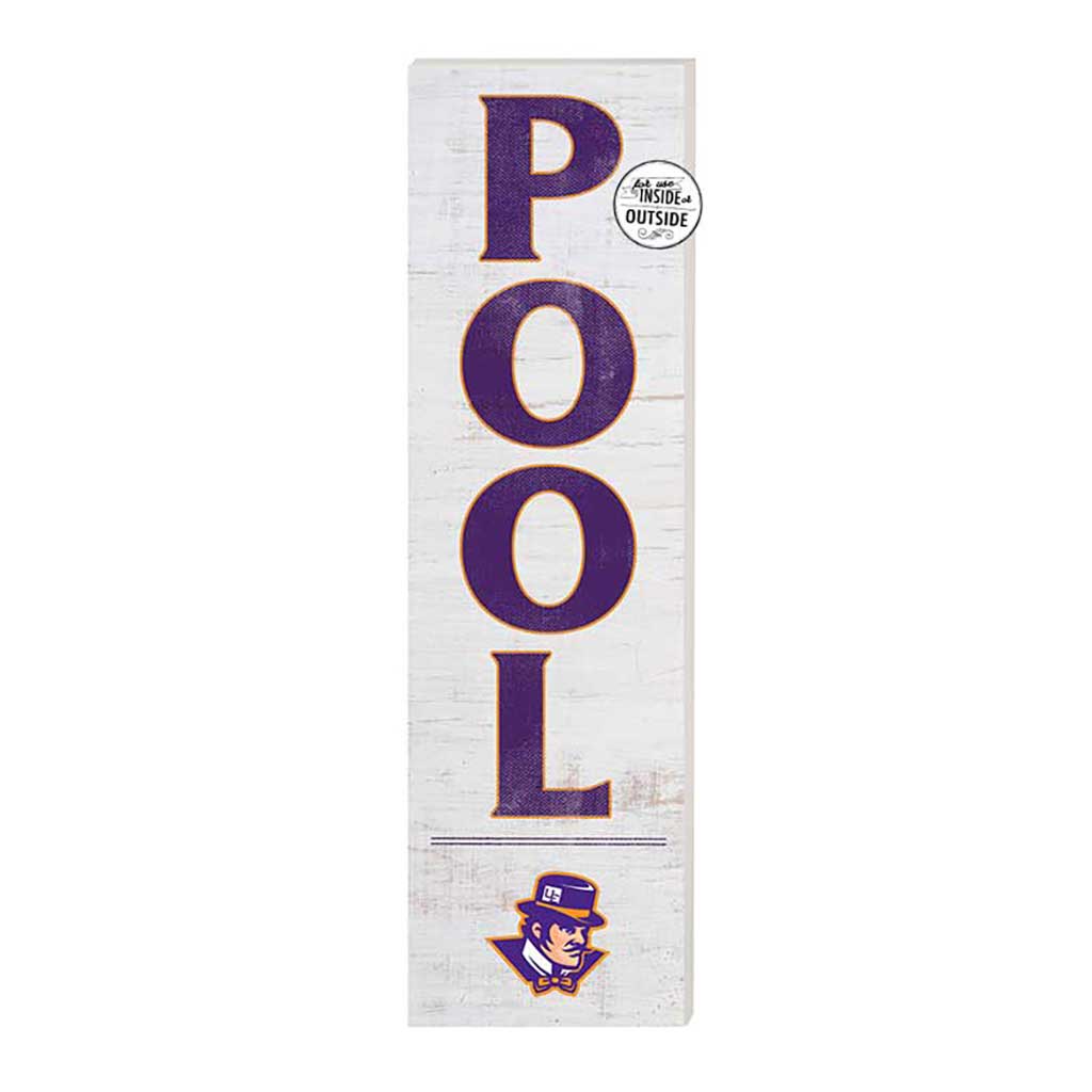 10x35 Indoor Outdoor Sign Pool Evansville Purple Aces