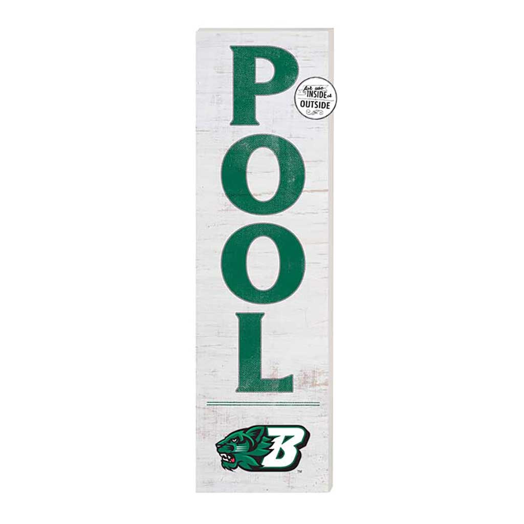 10x35 Indoor Outdoor Sign Pool Binghamton Bearcats