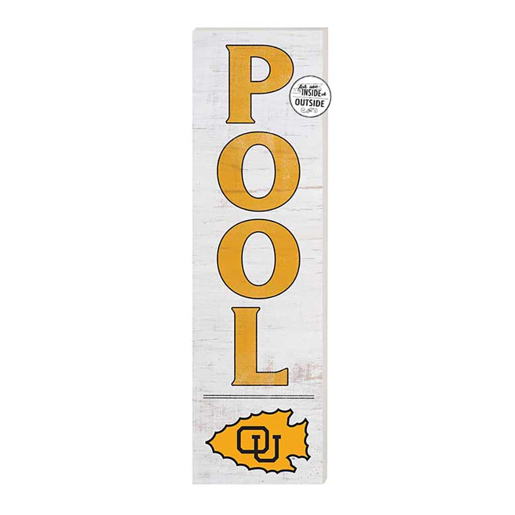 10x35 Indoor Outdoor Sign Pool Ottawa University Ottawa