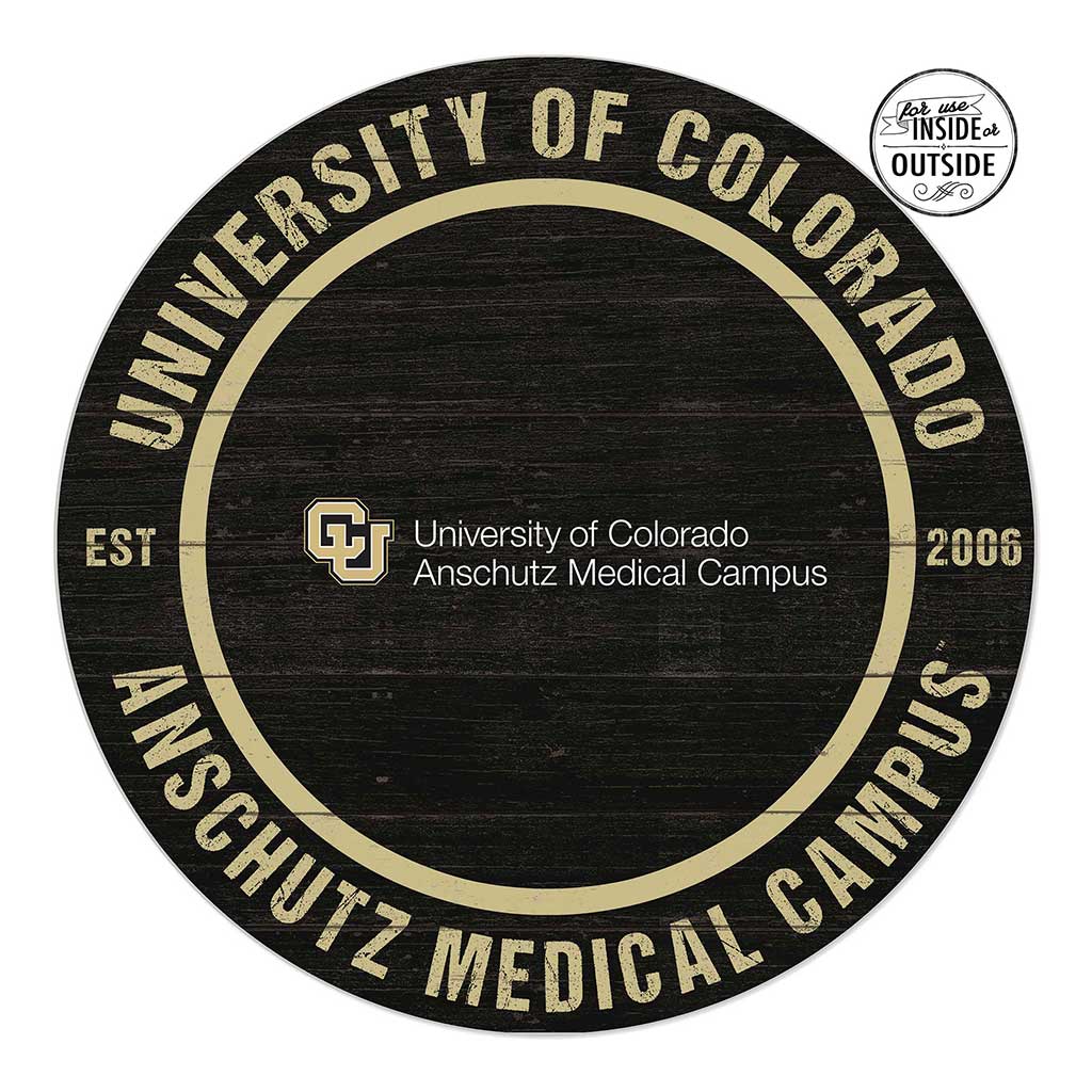 20x20 Indoor Outdoor Colored Circle University of Colorado - Anschutz Buffalo