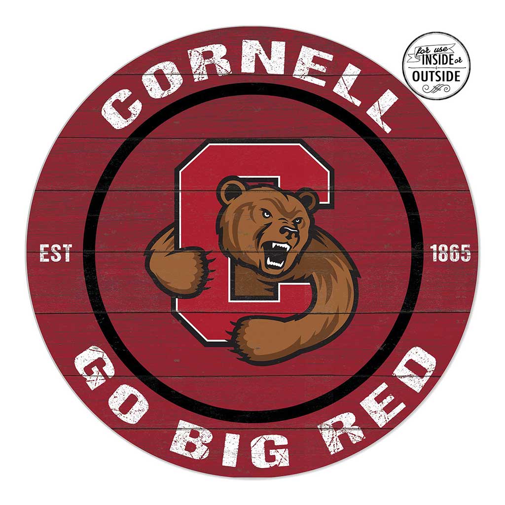 20x20 Indoor Outdoor Colored Circle Cornell University