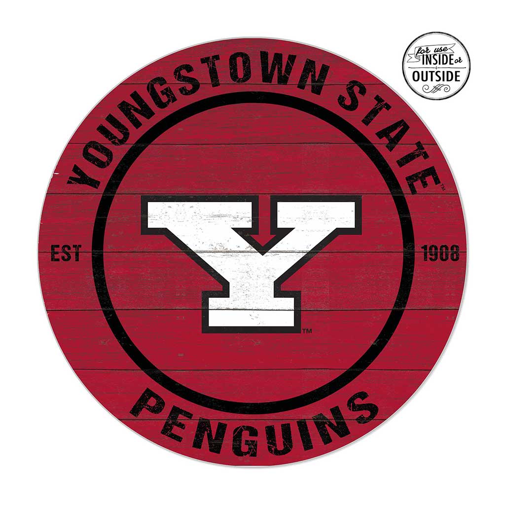 20x20 Indoor Outdoor Colored Circle Youngstown State University