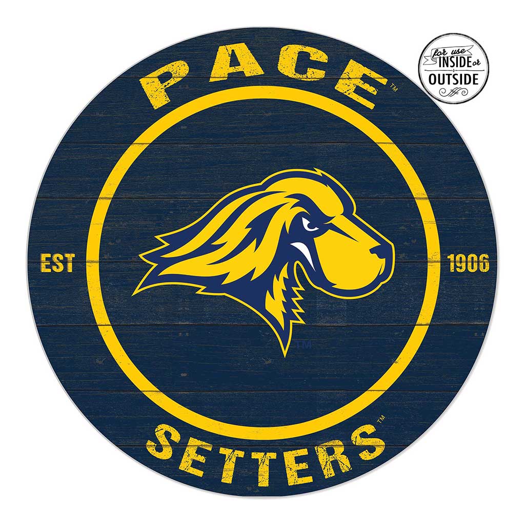 20x20 Indoor Outdoor Colored Circle Pace University Setters