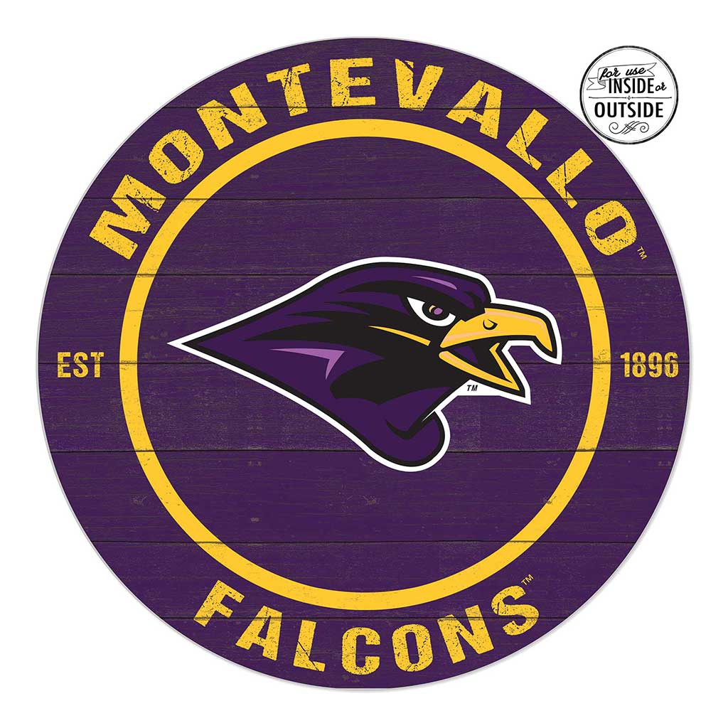20x20 Indoor Outdoor Colored Circle University of Montevallo Falcons