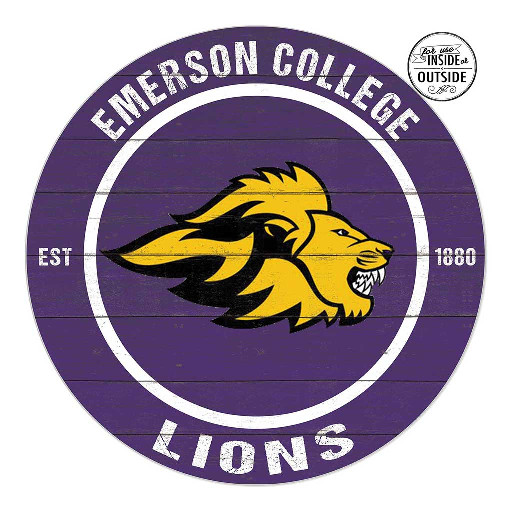20x20 Indoor Outdoor Colored Circle Emerson College Lions