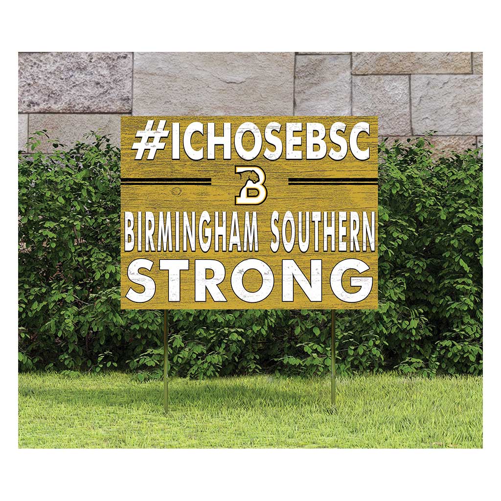 18x24 Lawn Sign I Chose Team Strong Birmingham Southern College Panthers