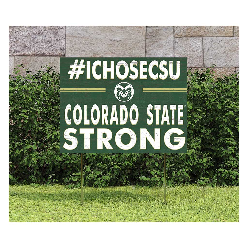 18x24 Lawn Sign I Chose Team Strong Colorado StateFt. Collins Rams