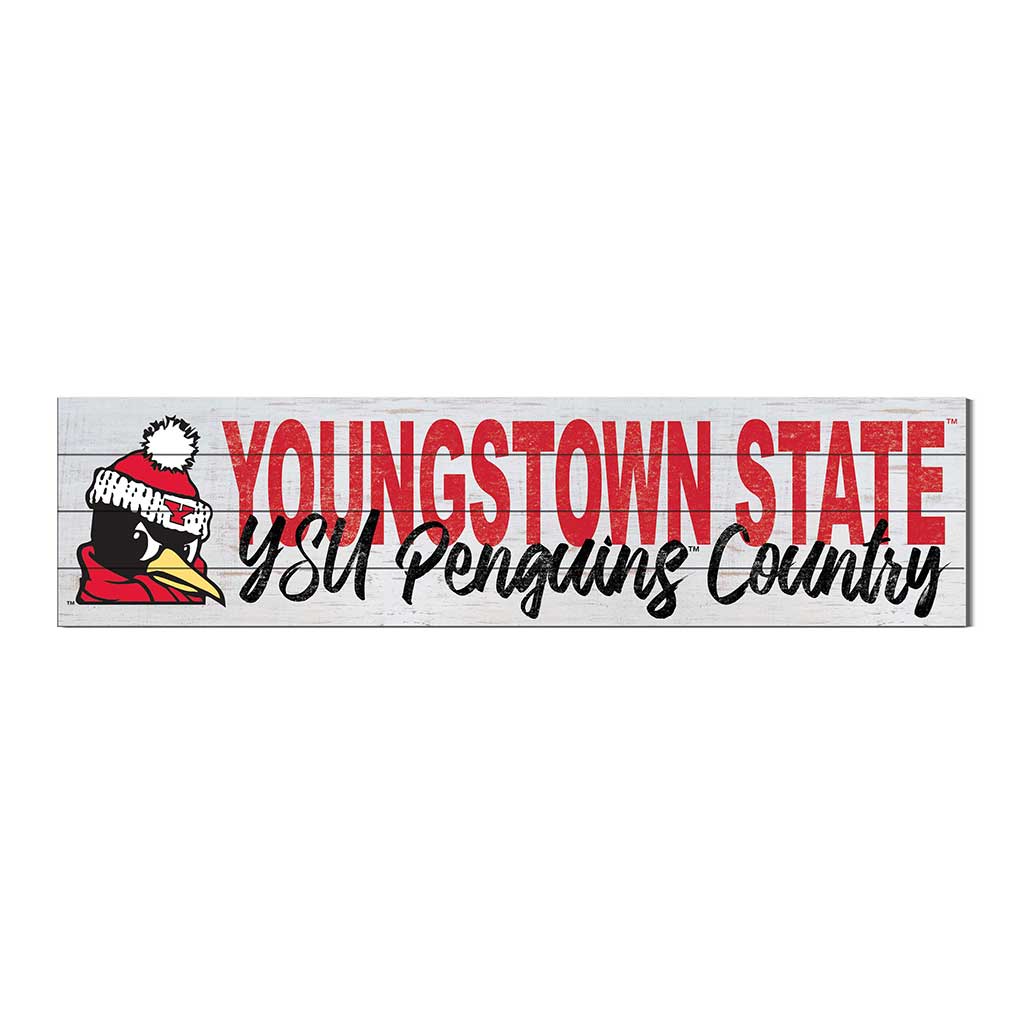 40x10 Sign With Logo Youngstown State University