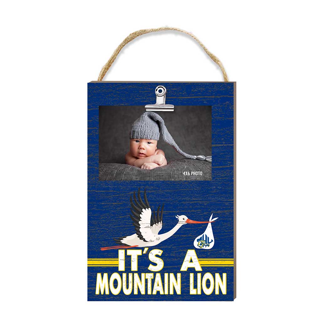 Hanging Clip-It Photo It's A Mars Hill Mountain Lions