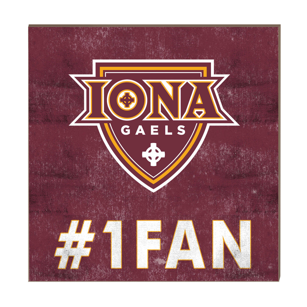 10x10 Team Color #1 Fan Lona College Gaels