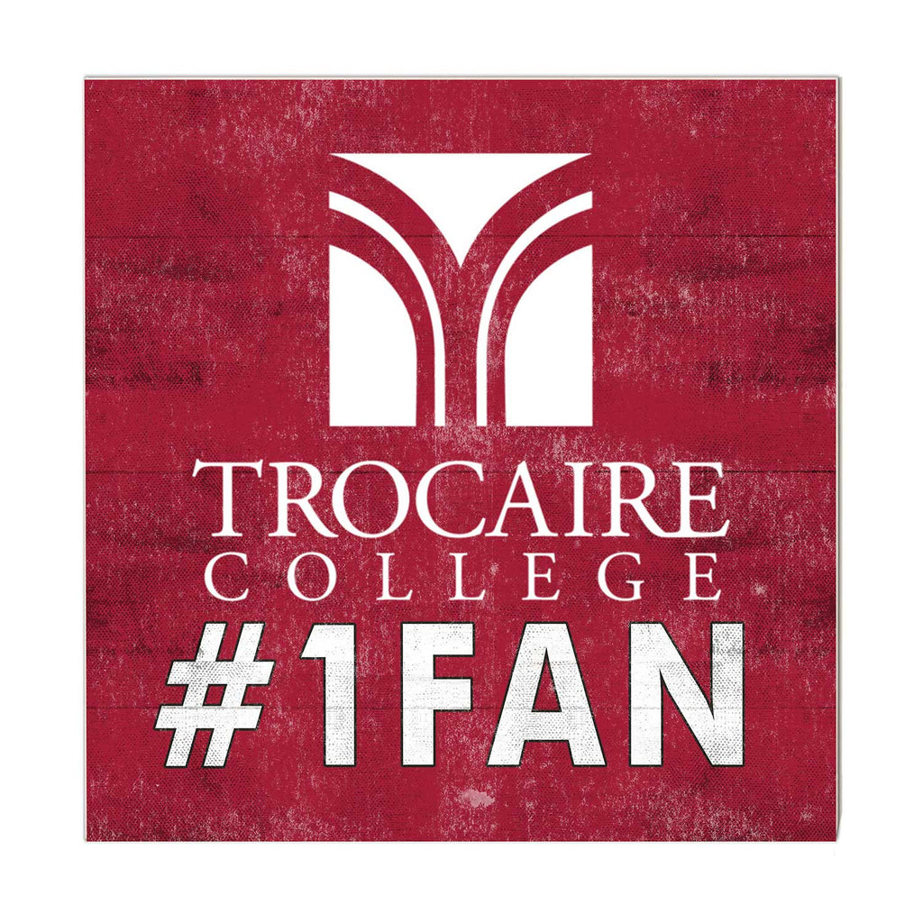 10x10 Team Color #1 Fan Trocaire College