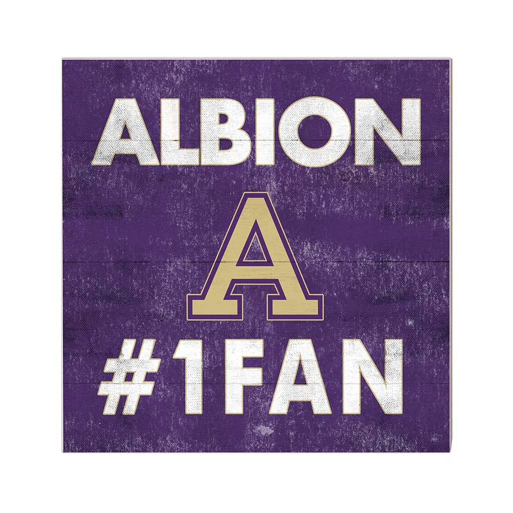 10x10 Team Color #1 Fan Albion College Britons