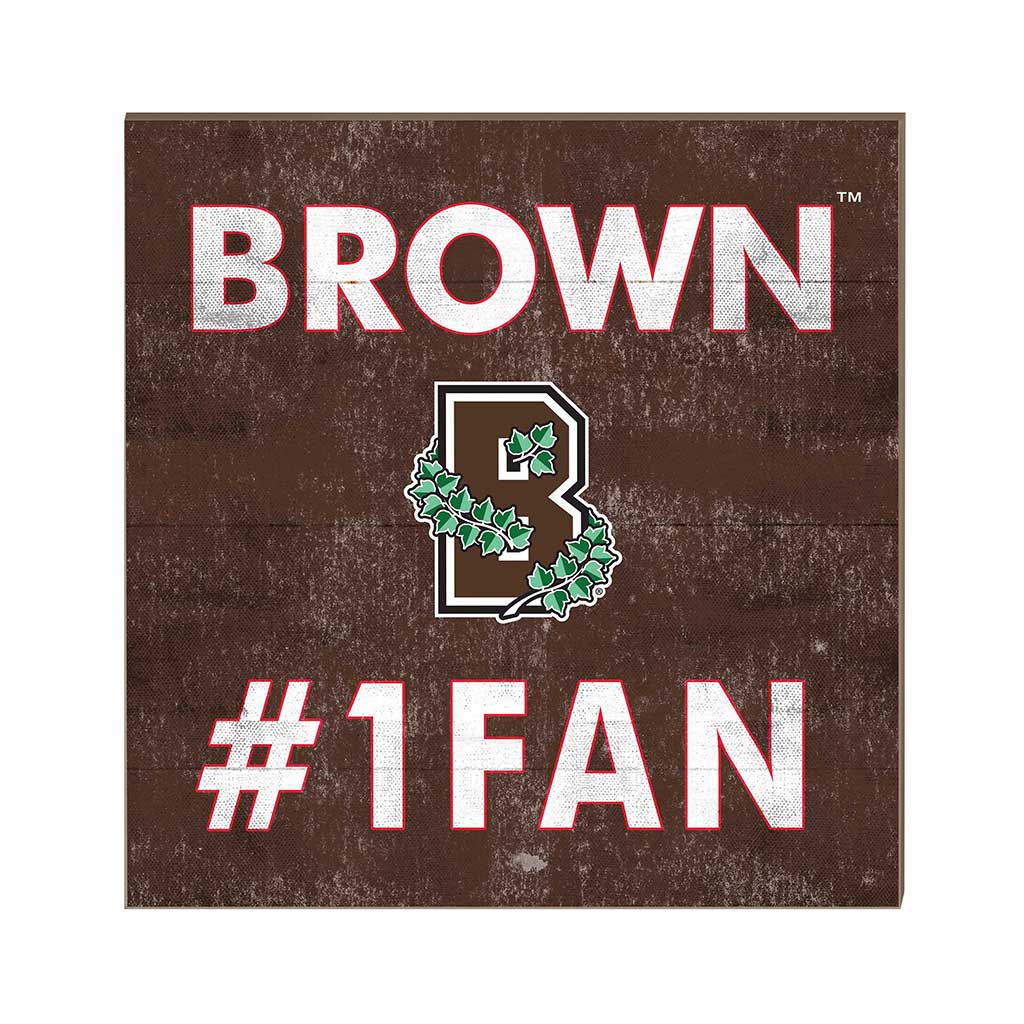 10x10 Team Color #1 Fan Brown Bears